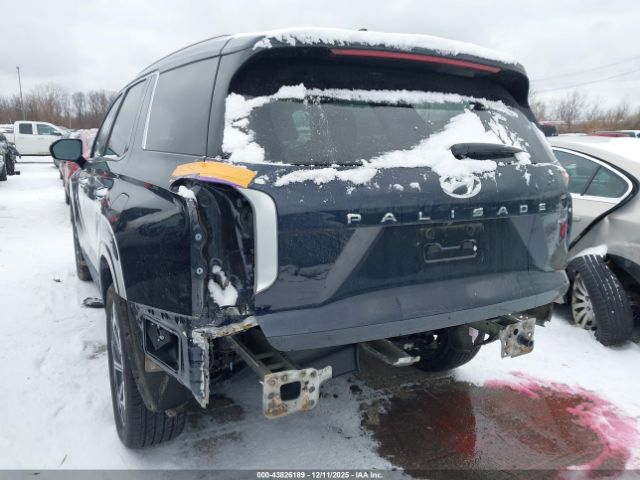 Hyundai PALISADE Calligraphy Image 11