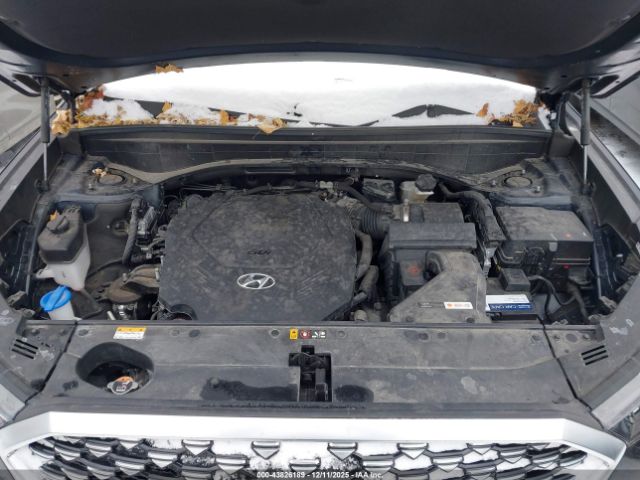 Hyundai PALISADE Calligraphy Image 15