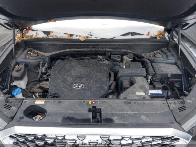 Hyundai PALISADE Calligraphy Image 15