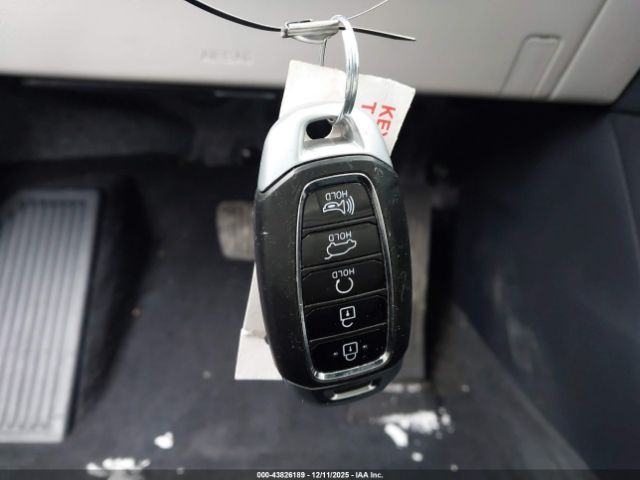 Hyundai PALISADE Calligraphy Image 3