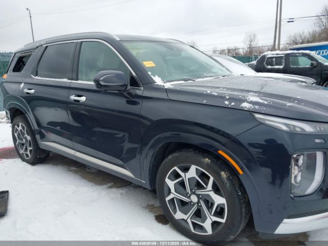 Hyundai PALISADE Calligraphy Image 4