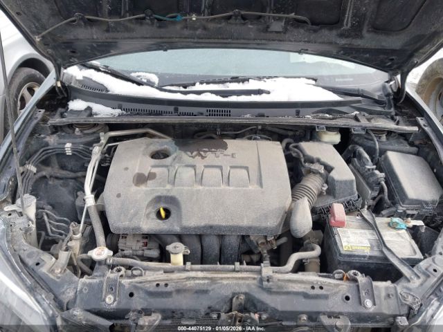 Toyota Corolla Le Image 5