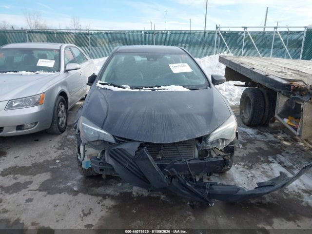 Toyota Corolla Le Image 16