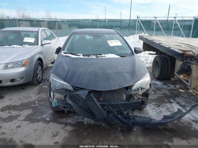 Toyota Corolla Le Image 16