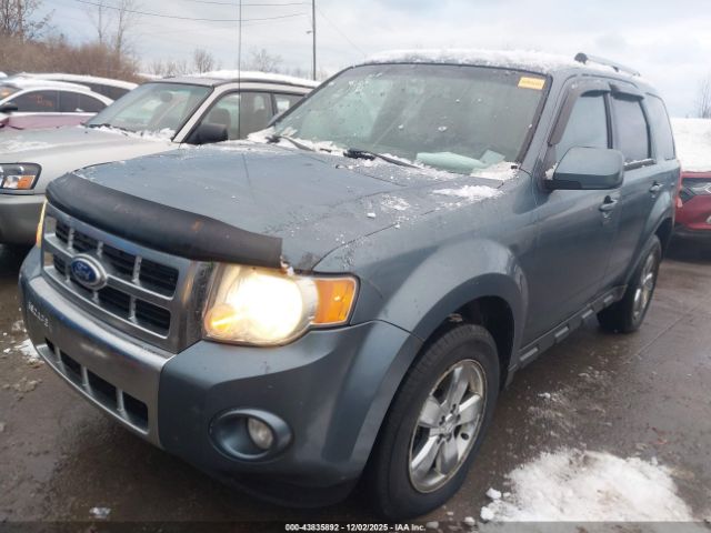 Ford Escape Limited Image 4