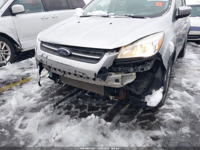 Ford Escape Se Image 6