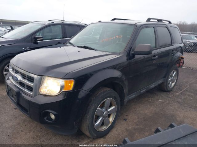 Ford Escape Xlt Image 7