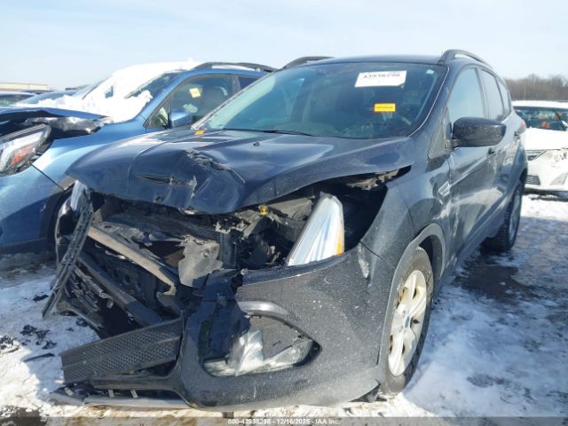 Ford Escape Se Image 14