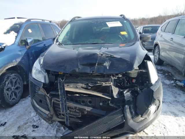 Ford Escape Se Image 8