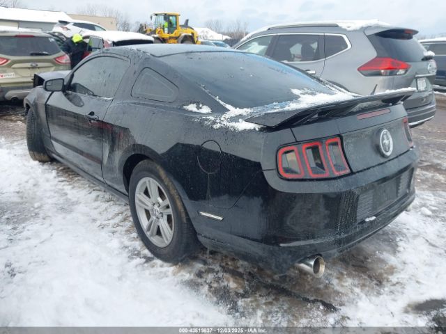 Ford Mustang V6 Image 11