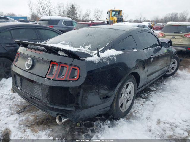 Ford Mustang V6 Image 5