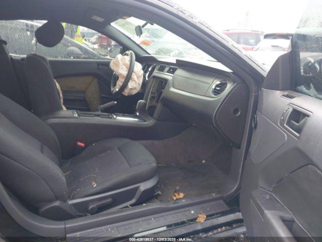 Ford Mustang V6 Image 6