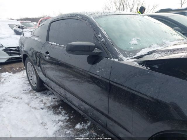 Ford Mustang V6 Image 13