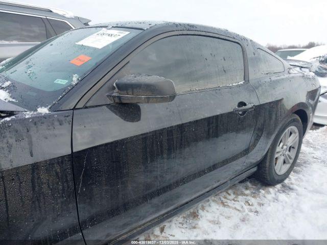 Ford Mustang V6 Image 15