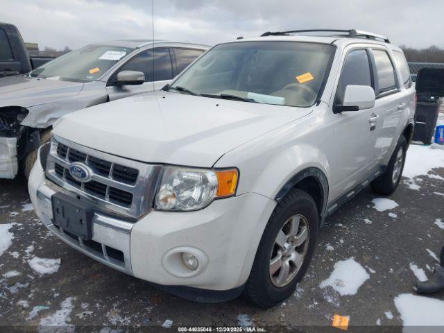 Ford Escape Limited Image 9