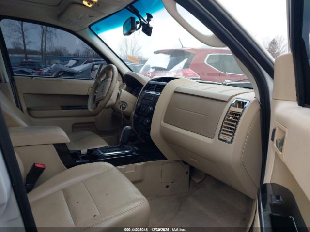 Ford Escape Limited Image 4