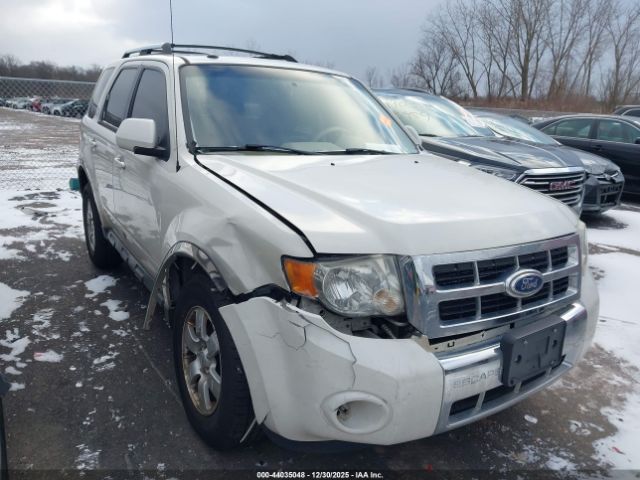 Ford Escape Limited Image 5