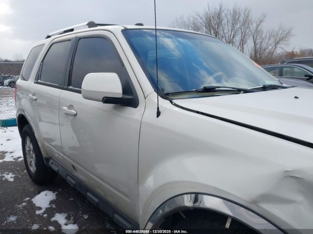 Ford Escape Limited Image 8