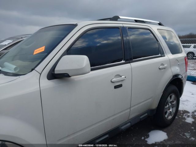 Ford Escape Limited Image 7