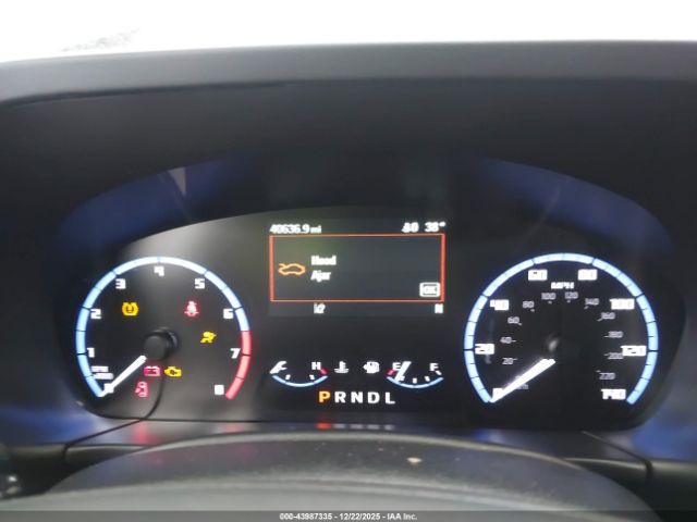 Ford Bronco Big Bend Image 3