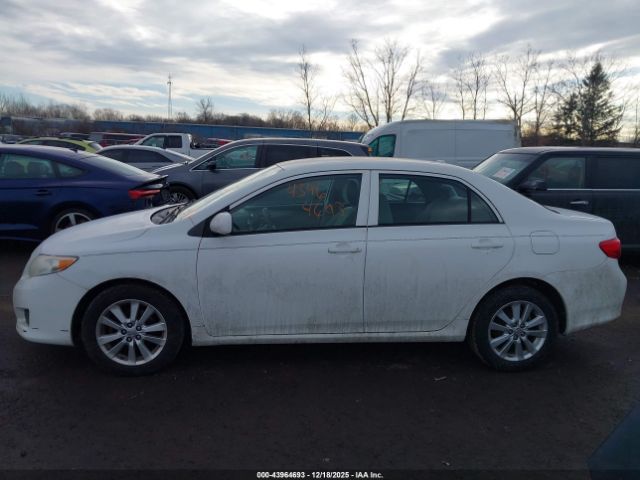 Toyota Corolla Le Image 11