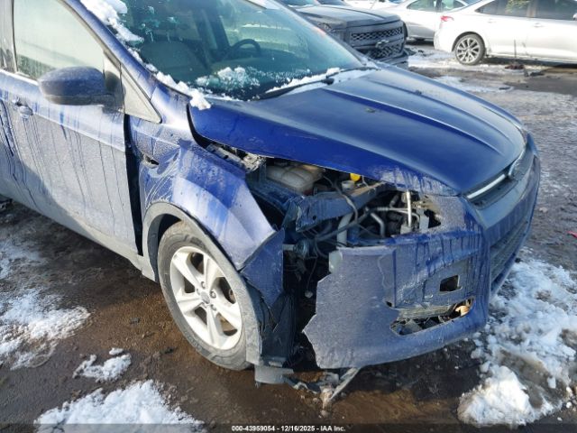 Ford Escape Se Image 5