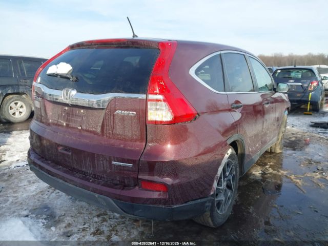 Honda CR-V Se Image 6