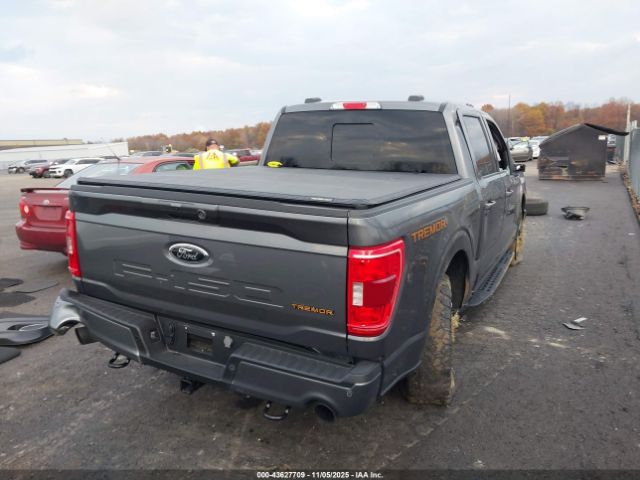 Ford F-150 Tremor Image 4