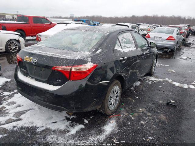 Toyota Corolla Le Image 2