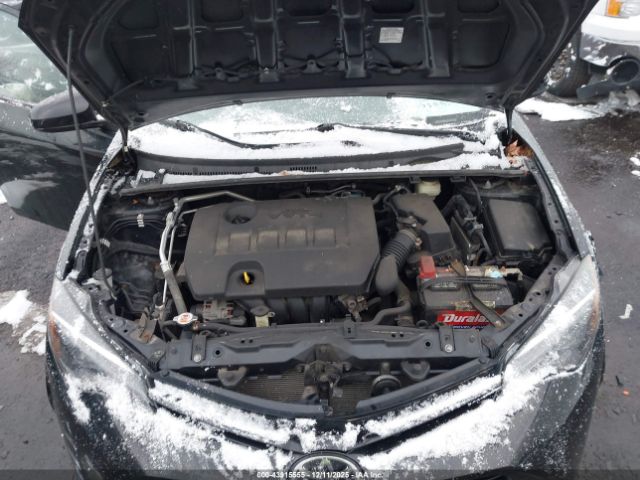 Toyota Corolla Le Image 11