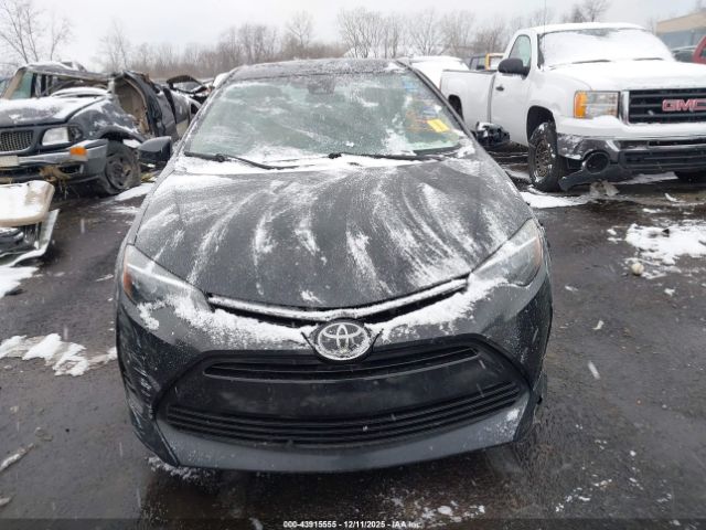 Toyota Corolla Le Image 13