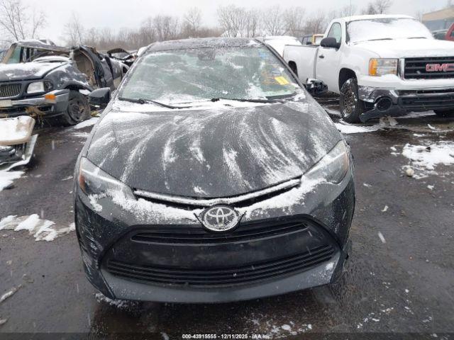 Toyota Corolla Le Image 13